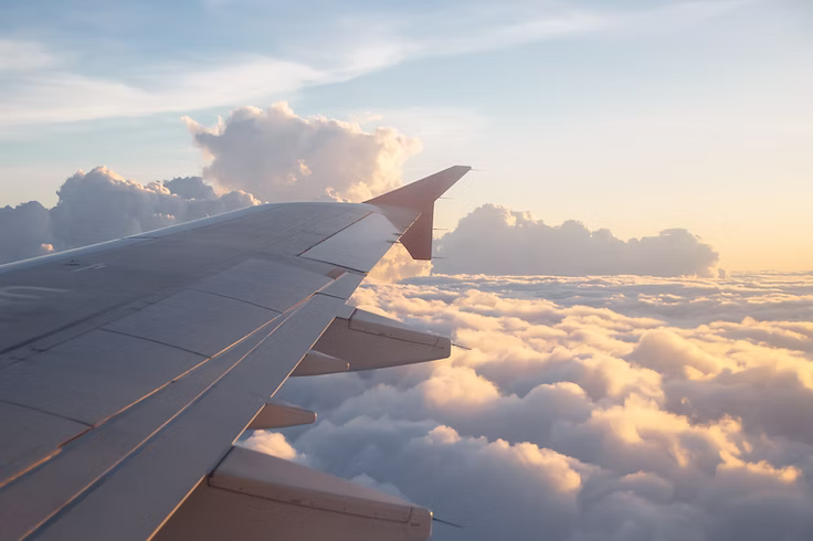 Wing View